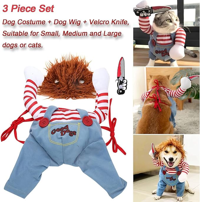 Halloween Pet Costume