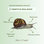 Snail Mucin Power Essence