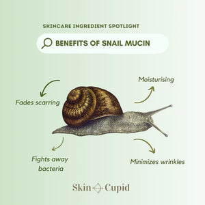 Snail Mucin Power Essence